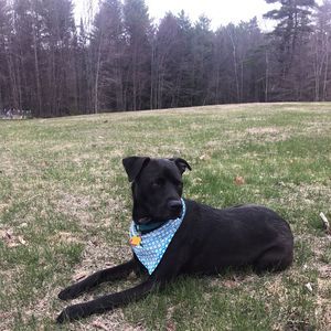 Meet your Posher, Jesse